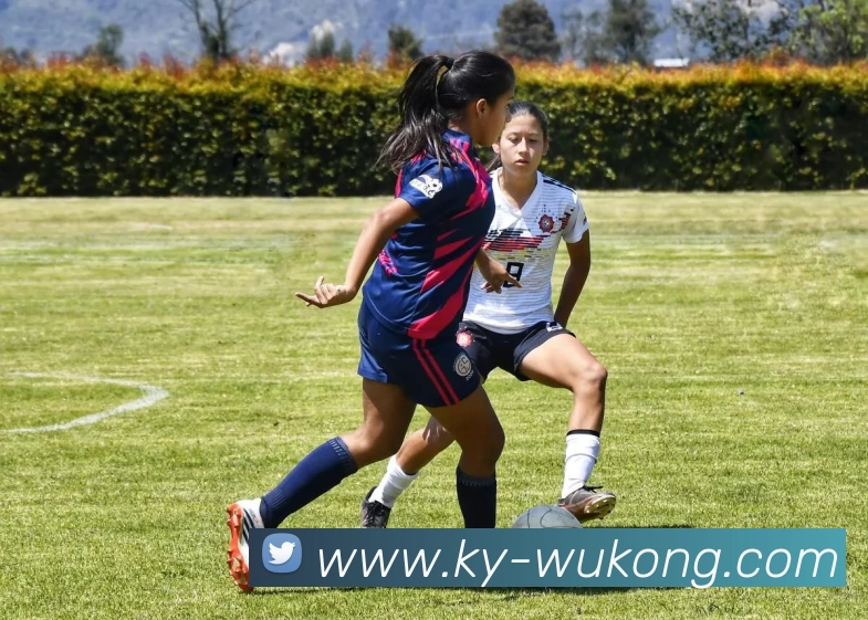 悟空体育品牌故事